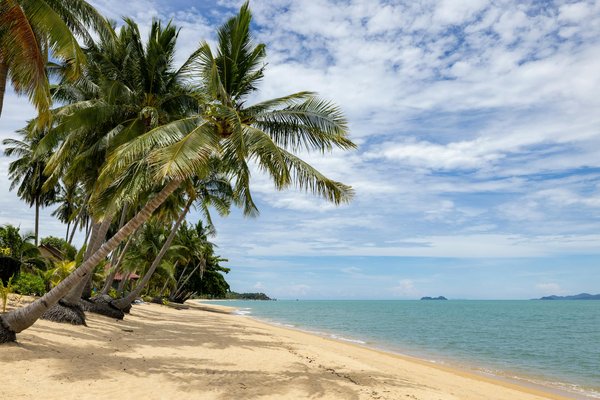 Découverte Authentique : Explorer le Tourisme Rural en France